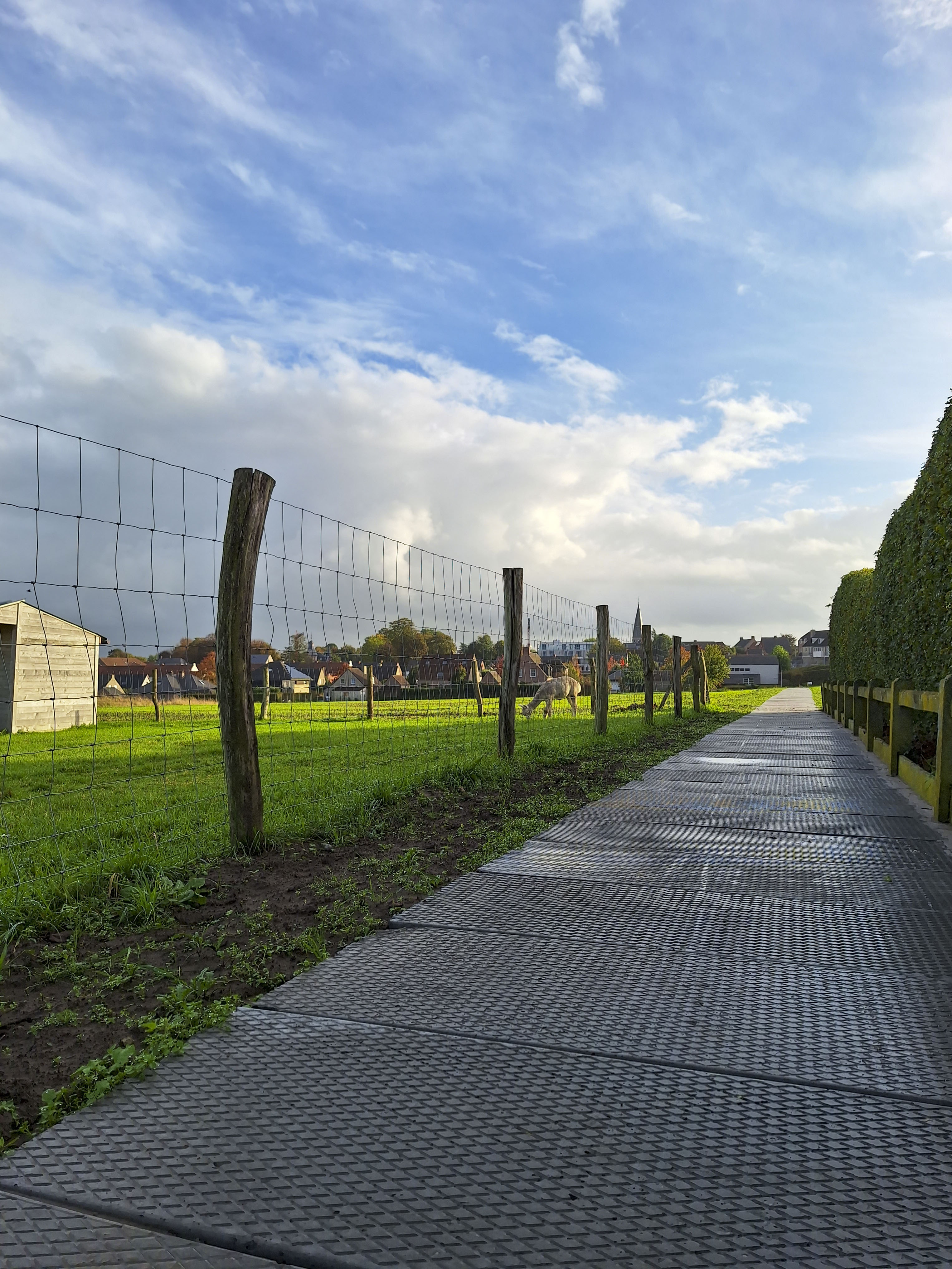202301657 Gewelven Tragewegen BE Anzegem (2)
